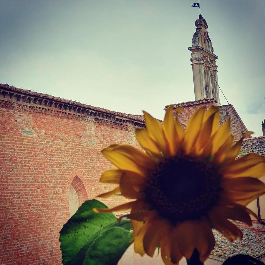 Appartaments San Francesco Castelfiorentino Εξωτερικό φωτογραφία